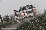 adac-hessen-rallye-vogelsberg-2014-rallyelive.com-2455.jpg